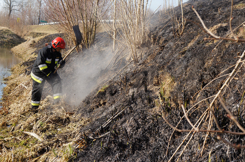 Elbląg, Policjanci ostrzegają - wypalanie traw jest karalne!