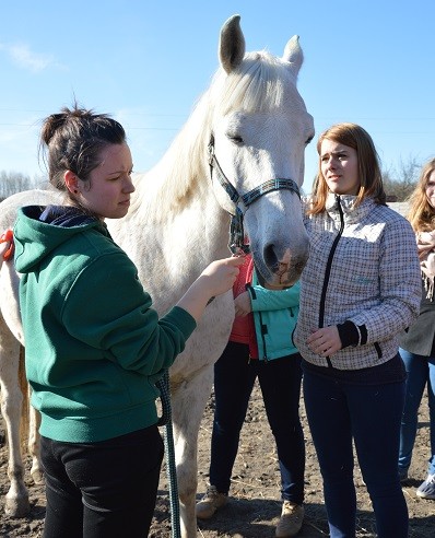 Elbląg, Z wizytą w Patrolu Interwencyjnym ds. Zwierząt Gospodarskich Elbląg, Z wizytą w Patrolu Interwencyjnym ds. Zwierząt Gospodarskich