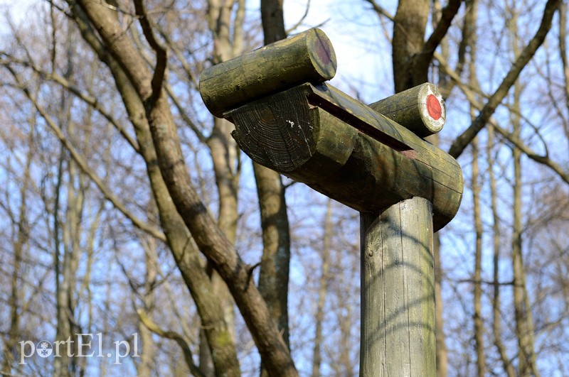Elbląg, „Smoki” przygotowane na nadchodzący sezon turystyczny