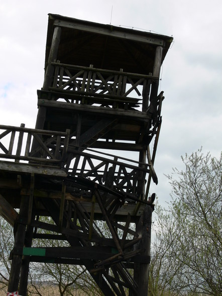 Elbląg, Spalili wieżę ornitologiczną, bo… mieli taki kaprys