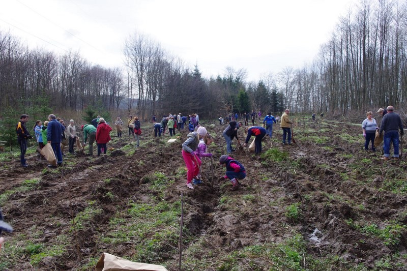 Elbląg, Sadzili las na 25-lecie  ZZIT