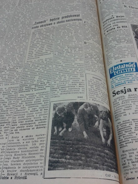 Elbląg, Sadzimy las