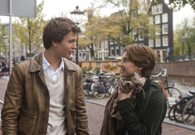 Elbląg, materiały prasowe dystrybutora