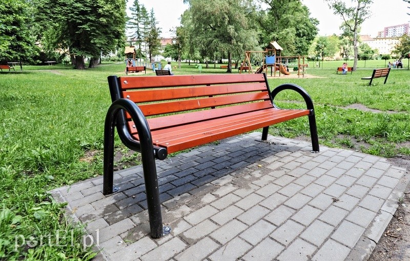 Elbląg, Ławki trafił już m.in. do Parku Traugutta Elbląg, Ławki trafił już m.in. do Parku Traugutta