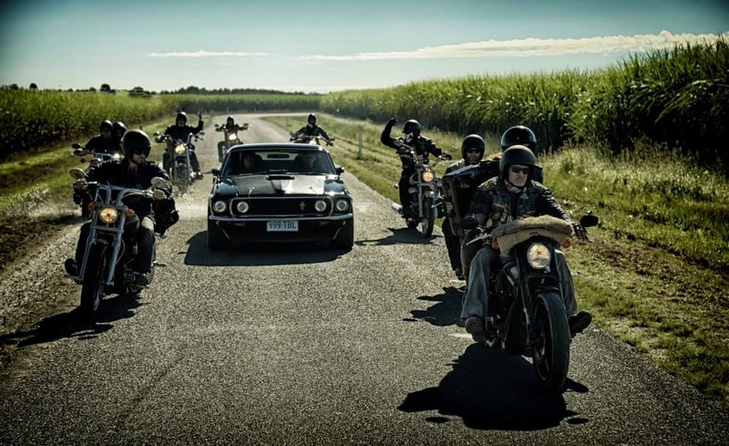 materiały prasowe dystrybutora