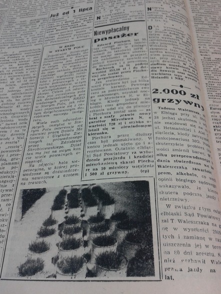 Elbląg, Niewypłacalny pasażer