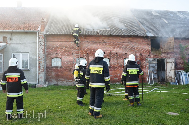 Elbląg, Pożar w Karczowiskach Górnych Elbląg, Pożar w Karczowiskach Górnych