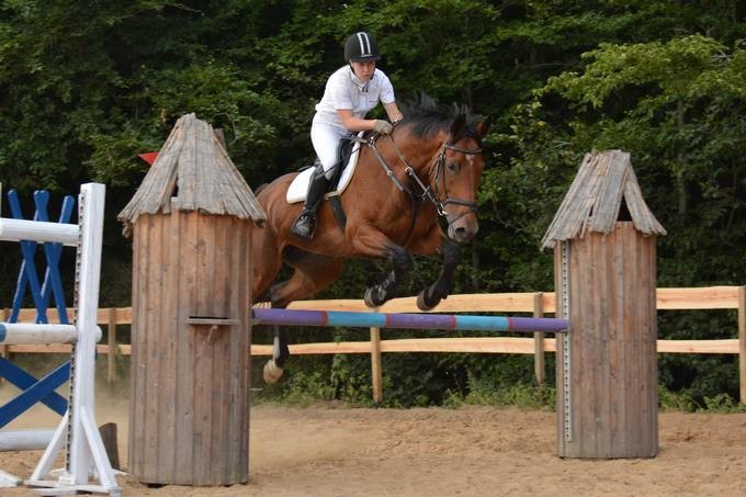 Elbląg, XII Piastowiada za nami