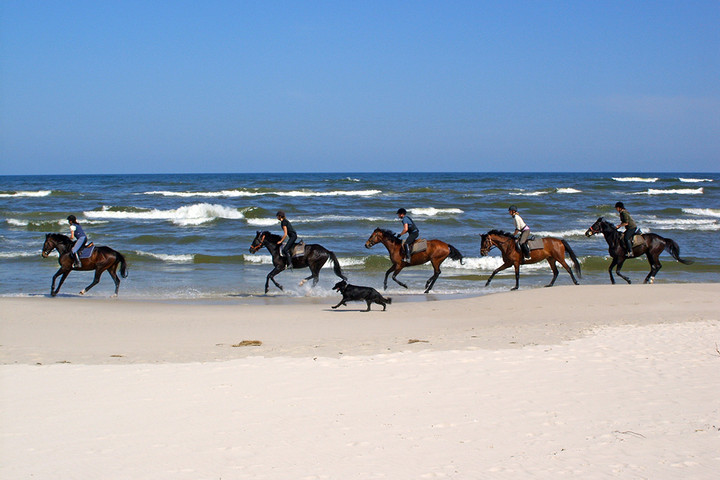 Elbląg, zdjęcie z konkursu Fotka miesiąca,