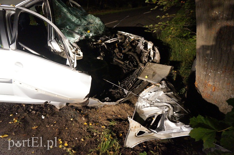 Elbląg, Peugeotem w drzewo: kierowca w szpitalu Elbląg, Peugeotem w drzewo: kierowca w szpitalu