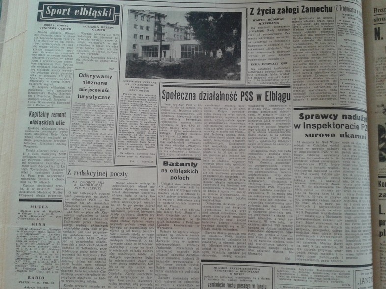 Elbląg, Bażanty na elbląskich polach