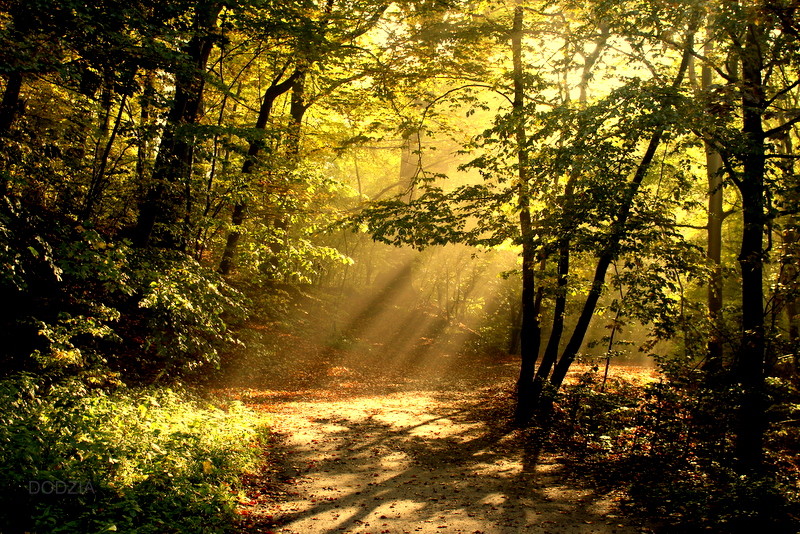 Elbląg, Trzynasta „Sobota z przewodnikiem”