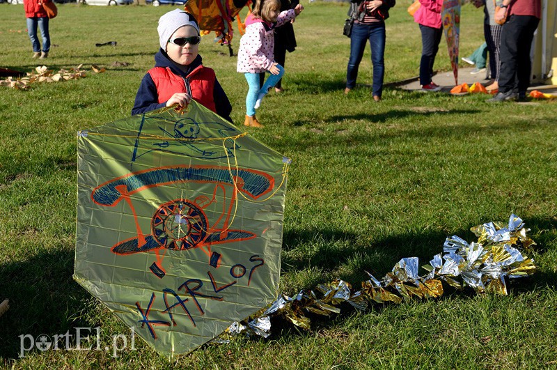 Elbląg, Dmuchawce, latawce, wiatr…