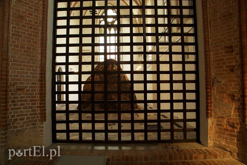 Elbląg, Animal w Galerii EL