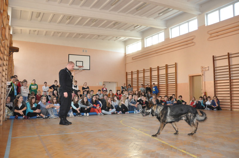 Elbląg, Zajęcia z przewodnikiem psów służbowych