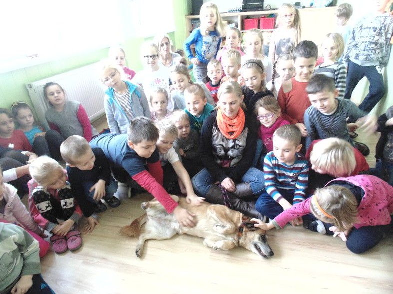 Elbląg, Dzieci zwierzakom ze schroniska Elbląg, Dzieci zwierzakom ze schroniska