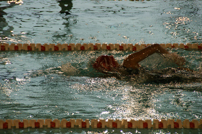 Elbląg, Medalowy początek sezonu młodych pływaków Elbląg, Medalowy początek sezonu młodych pływaków