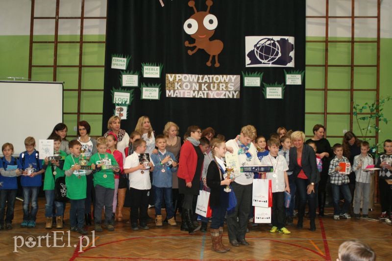 Elbląg, Matematyczna Mrówa