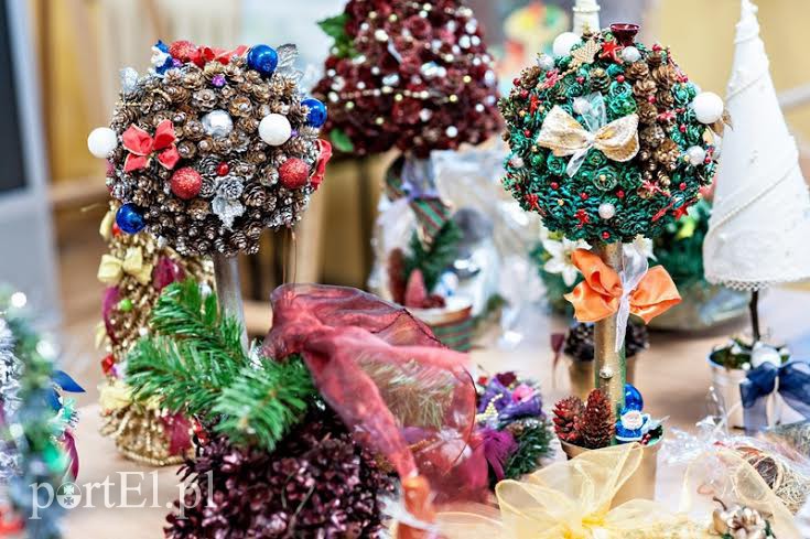 Elbląg, Te piękne drzewka świąteczne czekają na swoich właścicieli