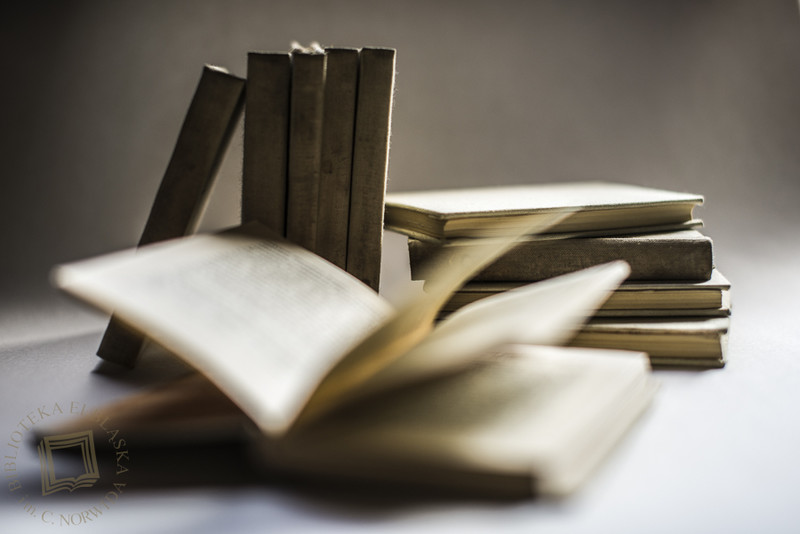 Elbląg, Pośród zaułków Pamięci