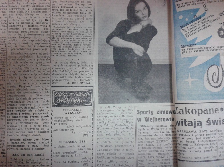 Elbląg, Elbląg w oczach satyryka Elbląg, Elbląg w oczach satyryka