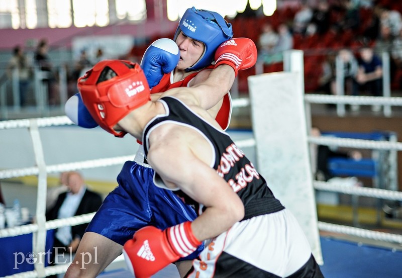 Elbląg, Sportowe podsumowanie roku 2014: sporty indywidualne