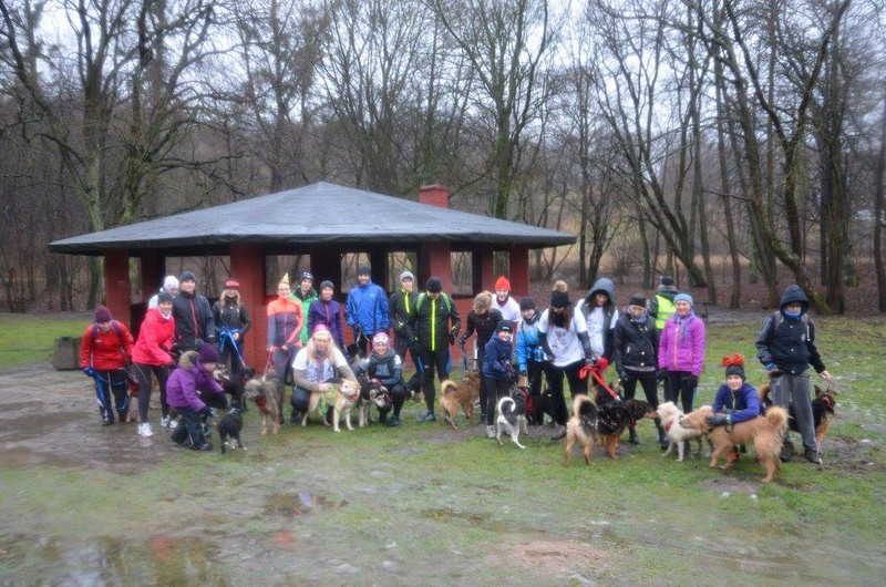 Elbląg, To był deszczowy Bieg na Sześć Łap