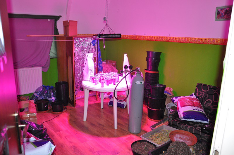 Elbląg, Produkowali narkotyki w wynajętym domu jednorodzinnym