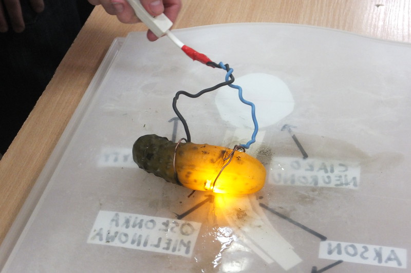 Elbląg, To była niesamowita noc naukowców