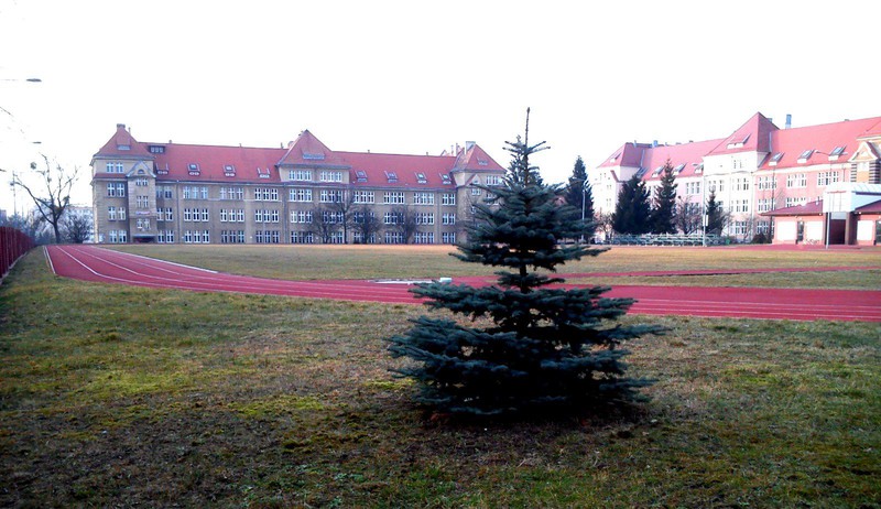 Elbląg, Jaka jest przyszłość szkolnictwa w Elblągu?