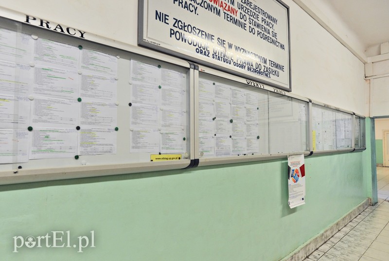 Elbląg, Sprawdź aktualne oferty pracy PUP Elbląg, Sprawdź aktualne oferty pracy PUP