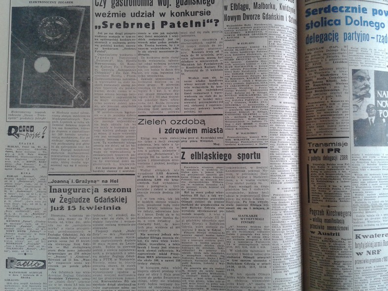 Elbląg, Zieleń ozdobą i zdrowiem miasta