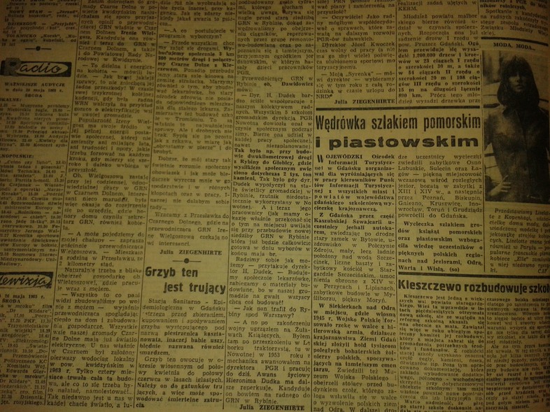 Elbląg, Grzyb ten jest trujący