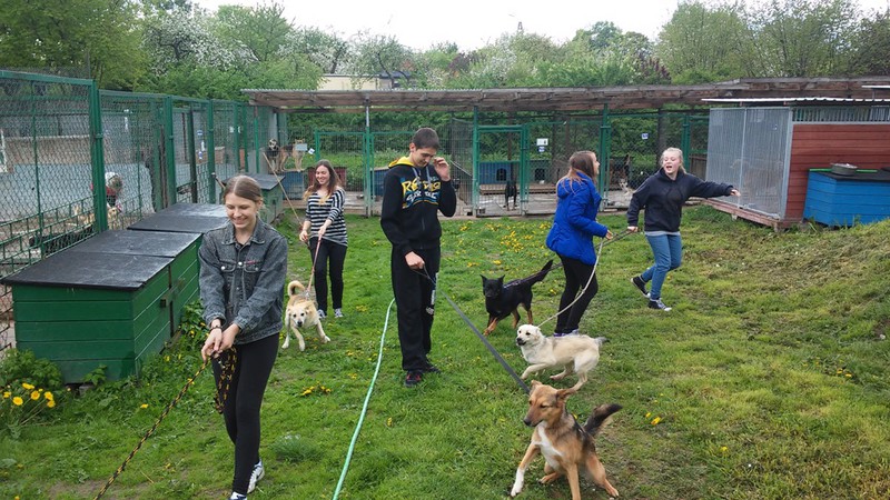 Elbląg, Gimnazjaliści dzielą sie dobrem
