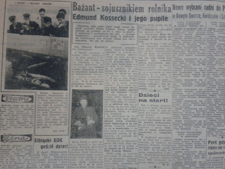 Elbląg, Dzieci na start!