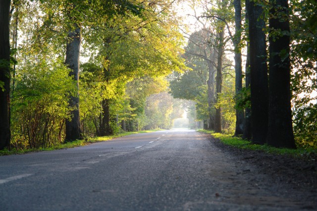 Elbląg, Zdjęcie z konkursu Fotka miesiąca: Droga do Kadyn Elbląg, Zdjęcie z konkursu Fotka miesiąca: Droga do Kadyn