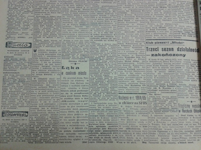 Elbląg, Łąka w centrum miasta Elbląg, Łąka w centrum miasta