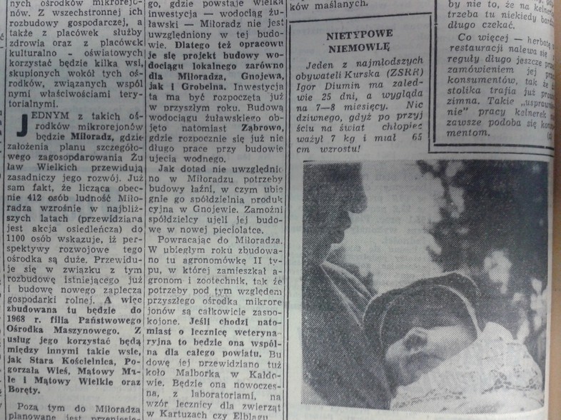 Elbląg, Nietypowe niemowlę Elbląg, Nietypowe niemowlę