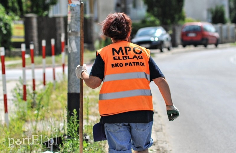 Elbląg, Quo Vadis, MPO? Elbląg, Quo Vadis, MPO?