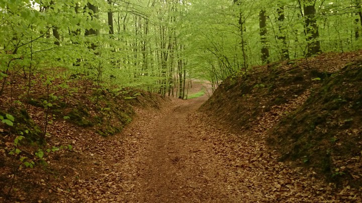 Elbląg, zdjęcie z konkursu FotoreportEl: Elbląg, zdjęcie z konkursu FotoreportEl: