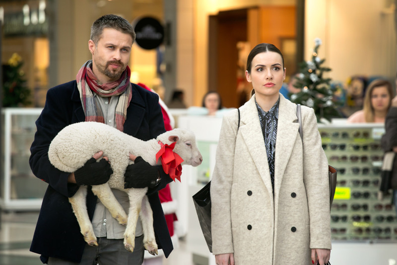 materiały prasowe dystrybutora materiały prasowe dystrybutora