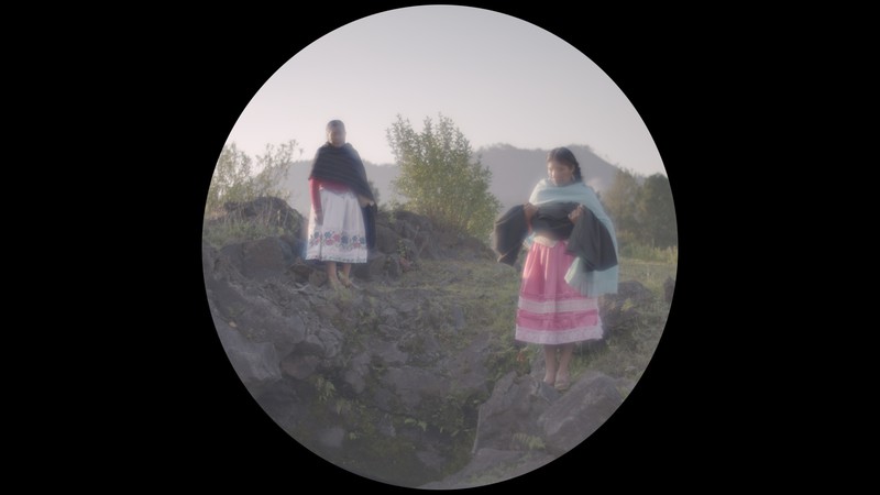 materiały prasowe dystrybutora