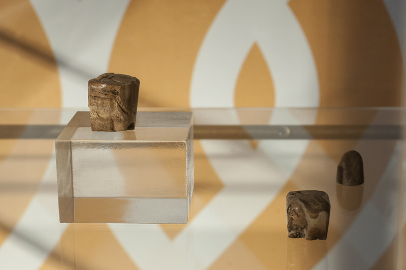 Elbląg, Te niezwykłe pionki wykonane są z oszlifowanych górnych zębów trzonowych konia,