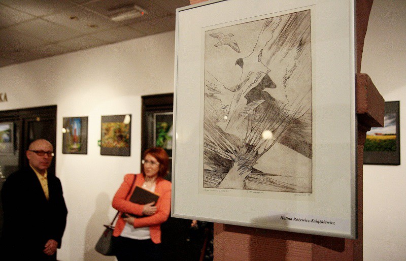 Elbląg, Żuławy Elbląskie dla opornych