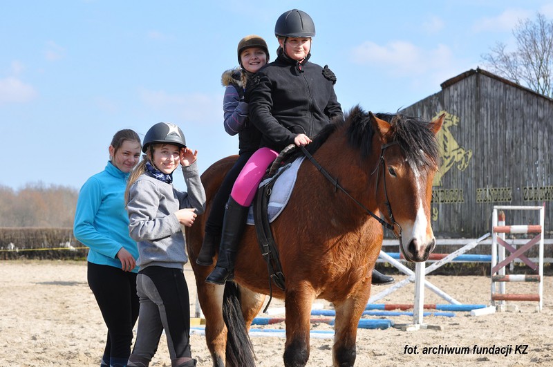 Elbląg, Wolontariusze do koni pilnie poszukiwani Elbląg, Wolontariusze do koni pilnie poszukiwani