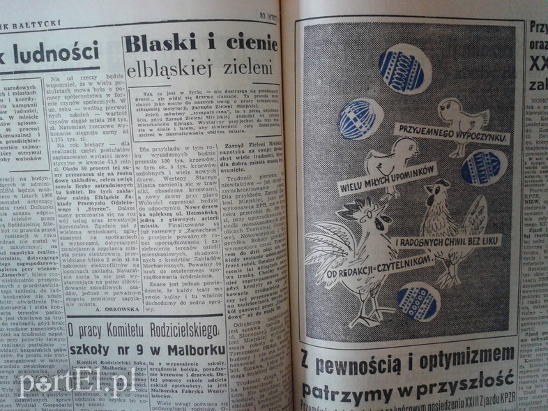 Elbląg, Blaski i cienie elbląskiej zieleni