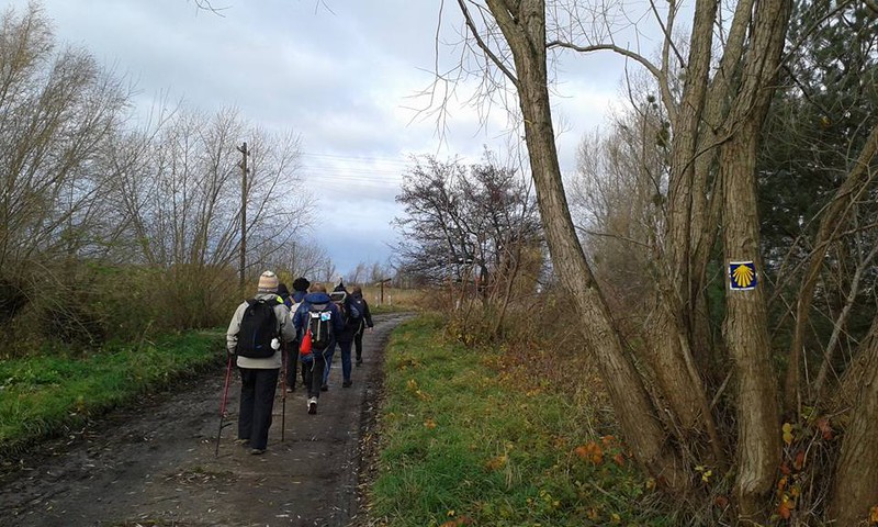Elbląg, Na szlaku św. Jakuba