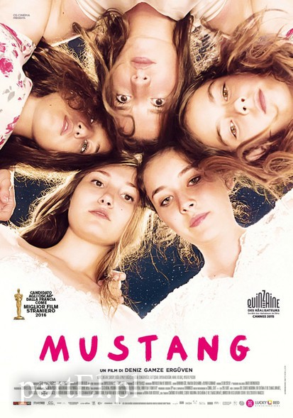 Elbląg, Mustang w kinie Światowid Elbląg, Mustang w kinie Światowid