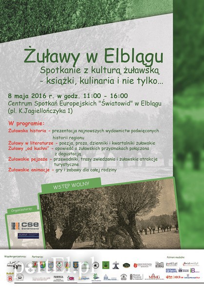 Elbląg, Żuławy w Elblągu