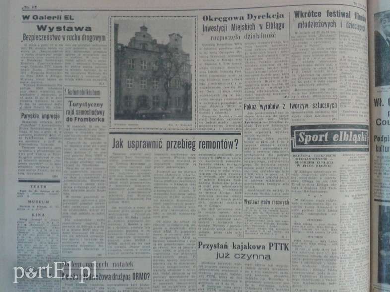 Elbląg, Wystawa psów rasowych